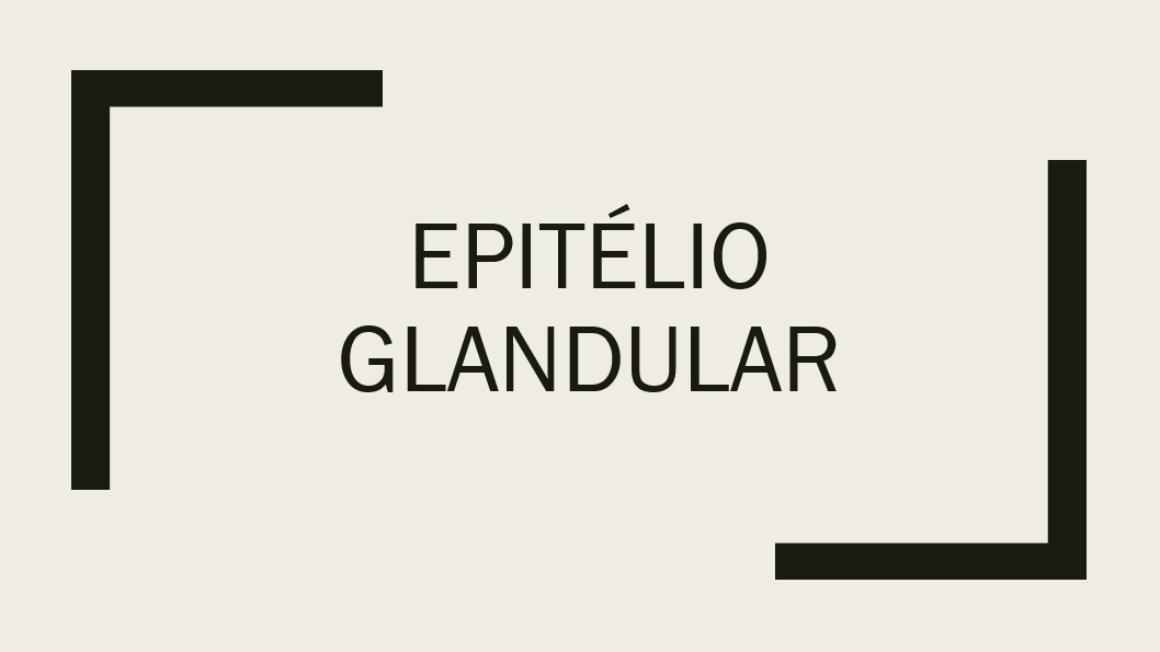 Slide26.jpg