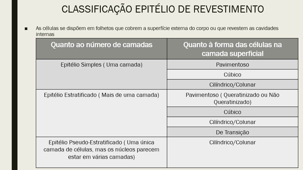 Slide4.jpg