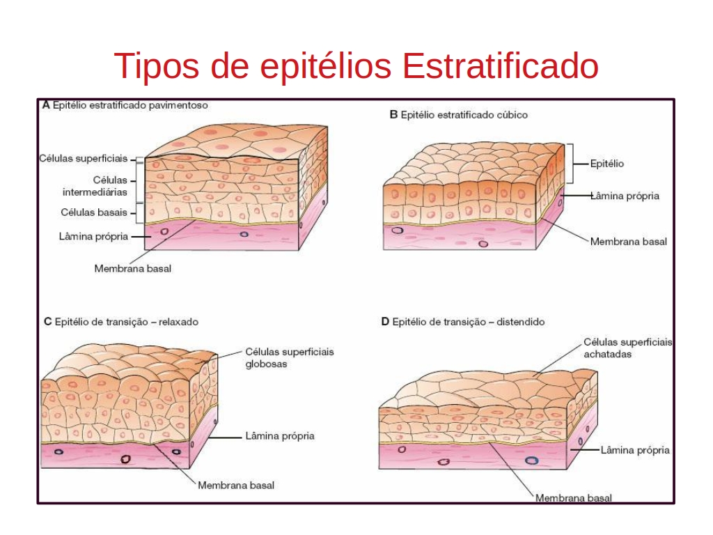 b11.jpg