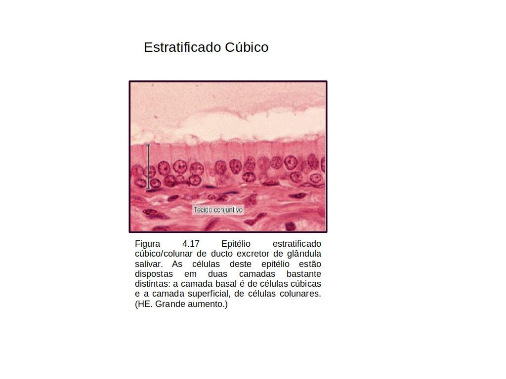 b3.jpg