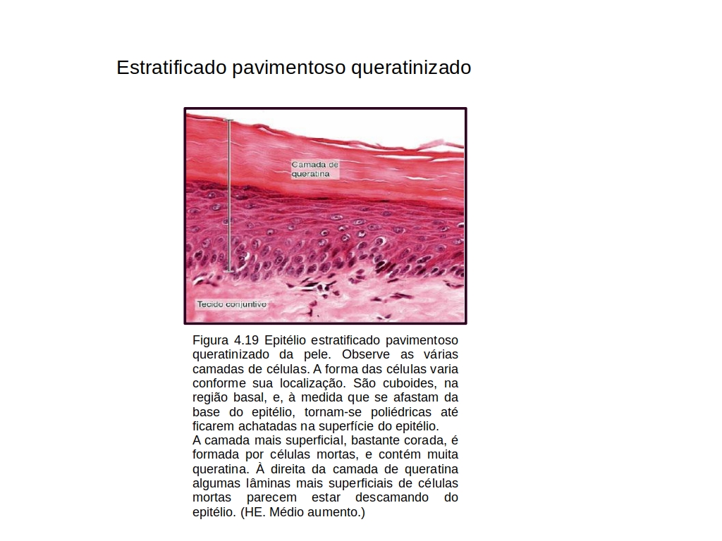 b6.jpg