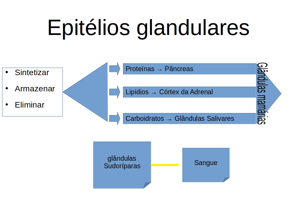c1.jpg