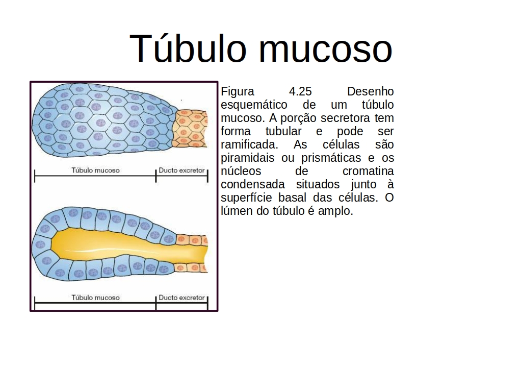 c8.jpg